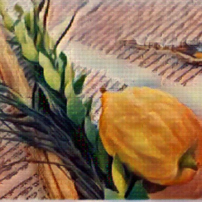 Four Species and a Hut